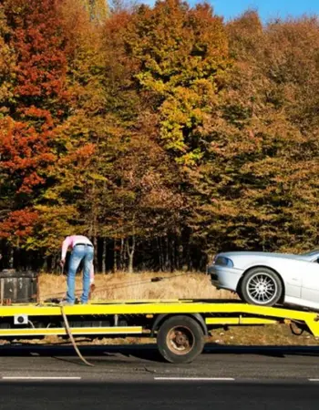 eline cash for cars