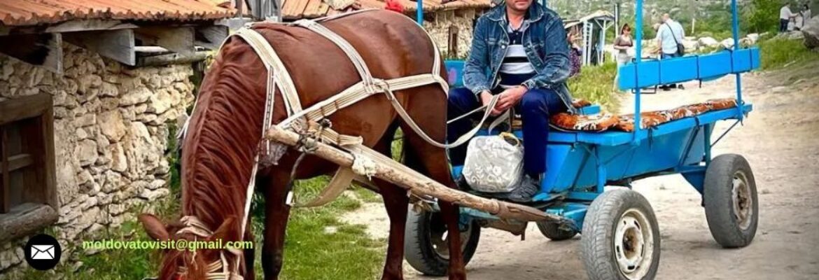 Moldovatovisit&tours