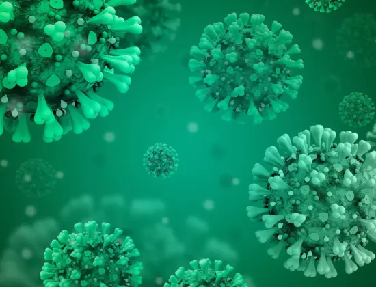 Pro Sci