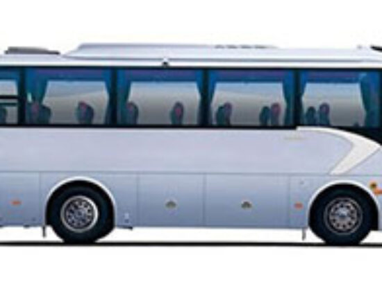 Minibus Forest of Dean