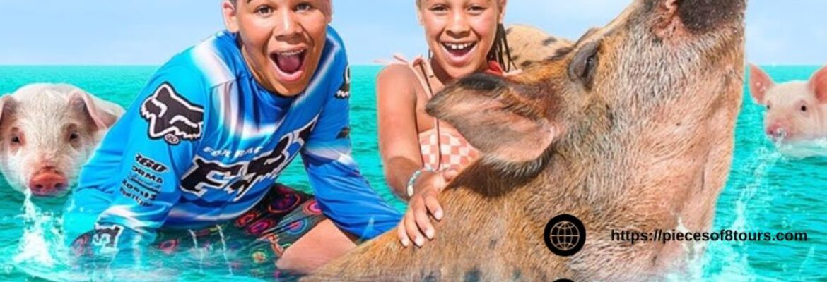 Pieces of 8 Tours Ltd