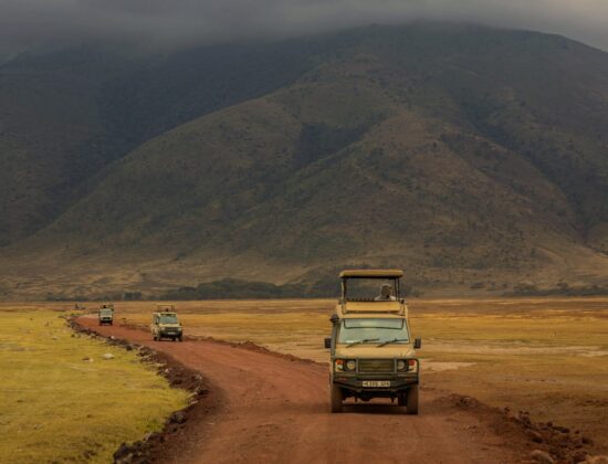 Maridadi African Safaris