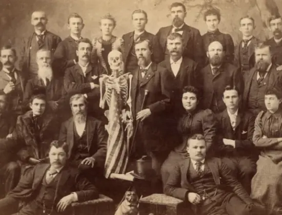 Toronto School Of Osteopathy