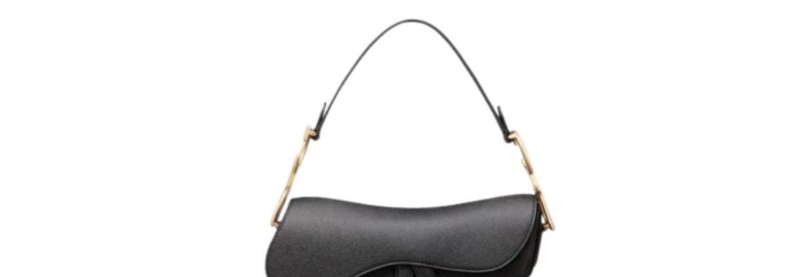 Sylish Bag